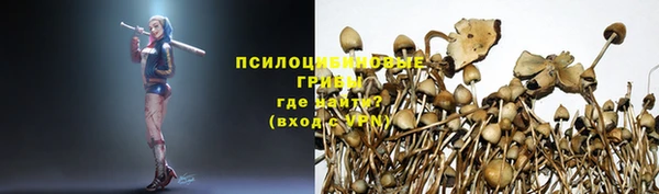 MESCALINE Алзамай
