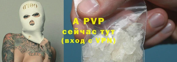 хмурый Пестово
