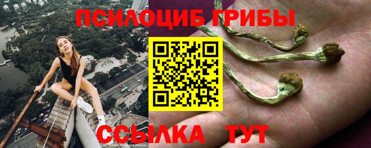 Галлюциногенные грибы MAGIC MUSHROOMS Кохма