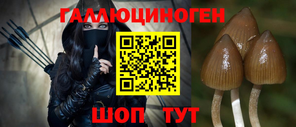 Кохма  даркнет сайт  Вход с VPN  Галлюциногенные грибы Magic Shrooms  Псилоцибиновые грибы прущие грибы 